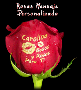 rosas personalizadas bogota
